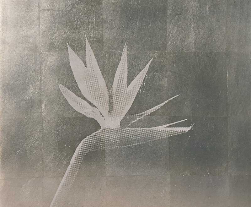 Siebdruck Ulli Ayadi